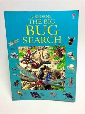 Vintage Book The Big BUG Search Usborne 2005 Y2K Look & Find Nature Educational